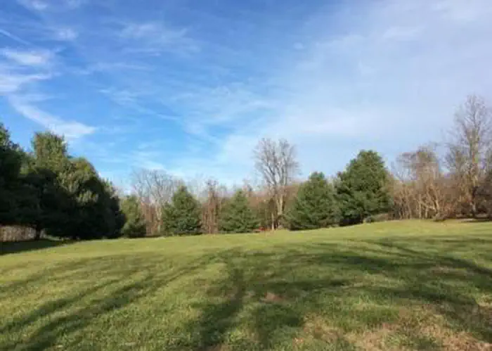 Rohrbach Group Campground — The grassy field that comprises Rohrbach Group Campground