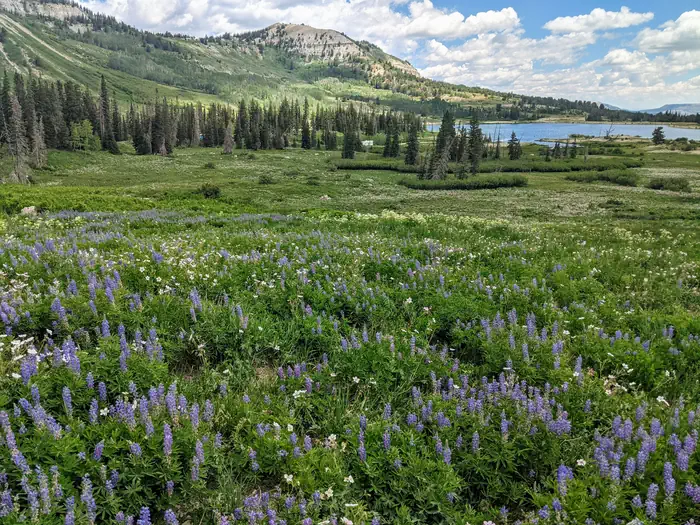 Ferron Reservoir — Ferron Reservoir