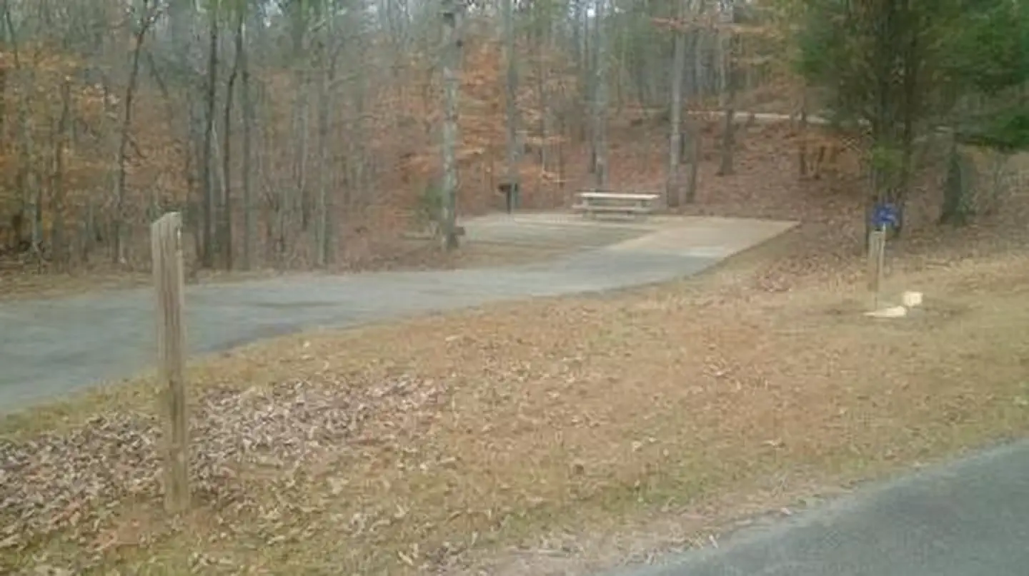 Toto Creek Campground — Toto Creek Campground site view