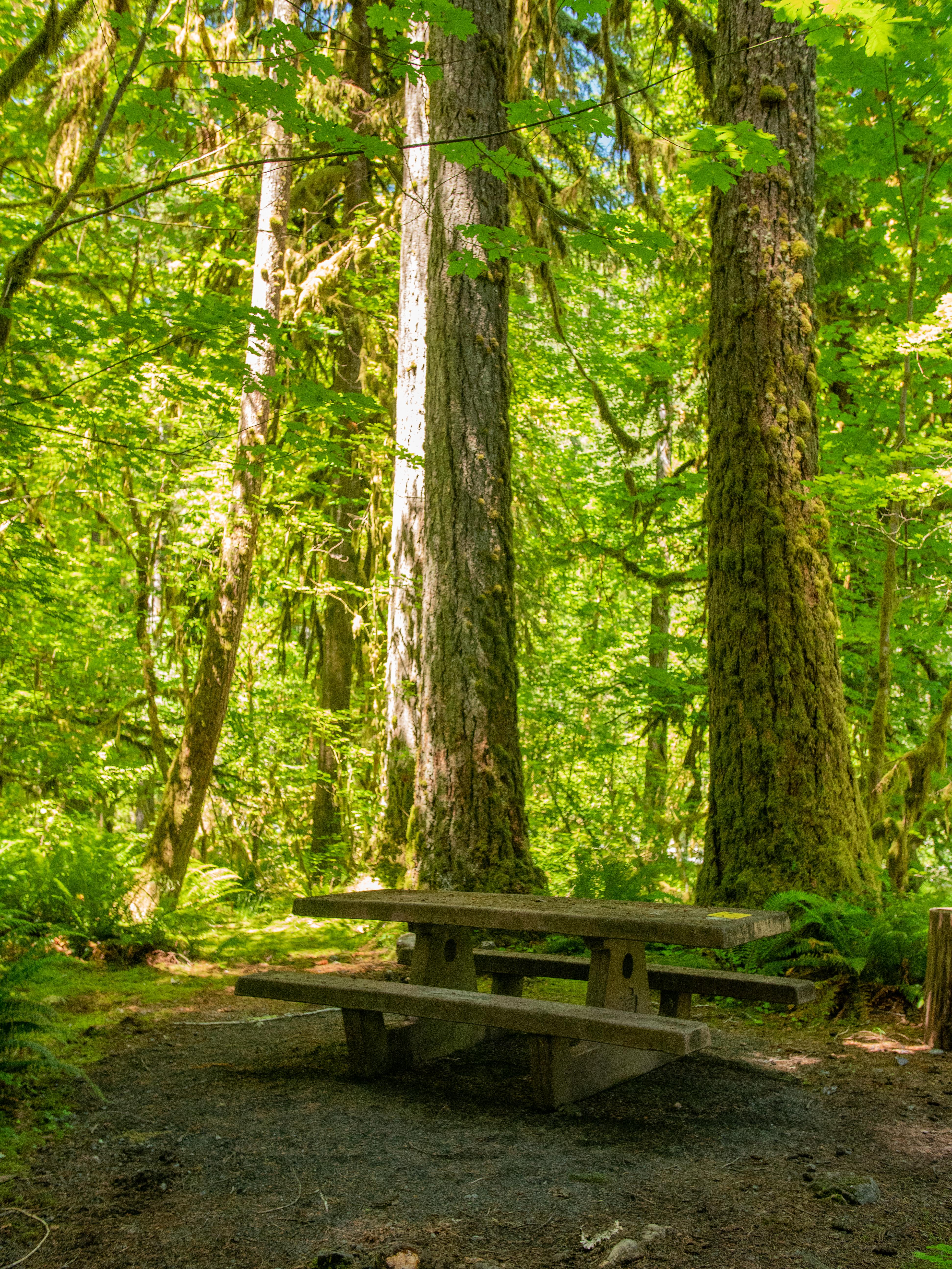 Graves Creek Campground
