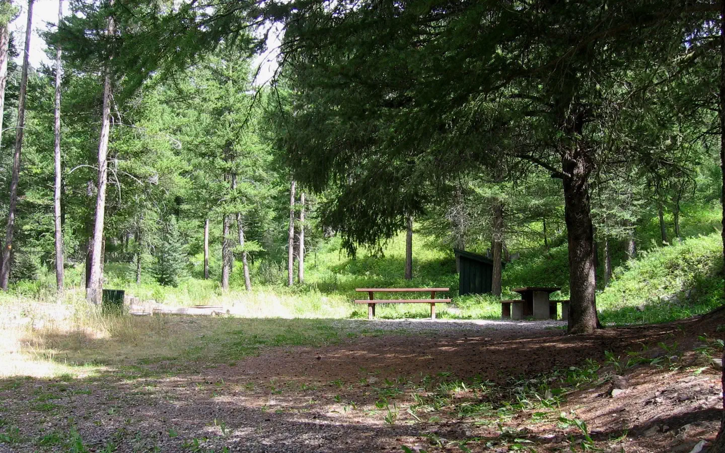 Moose Creek Group Site — Moose Group Site