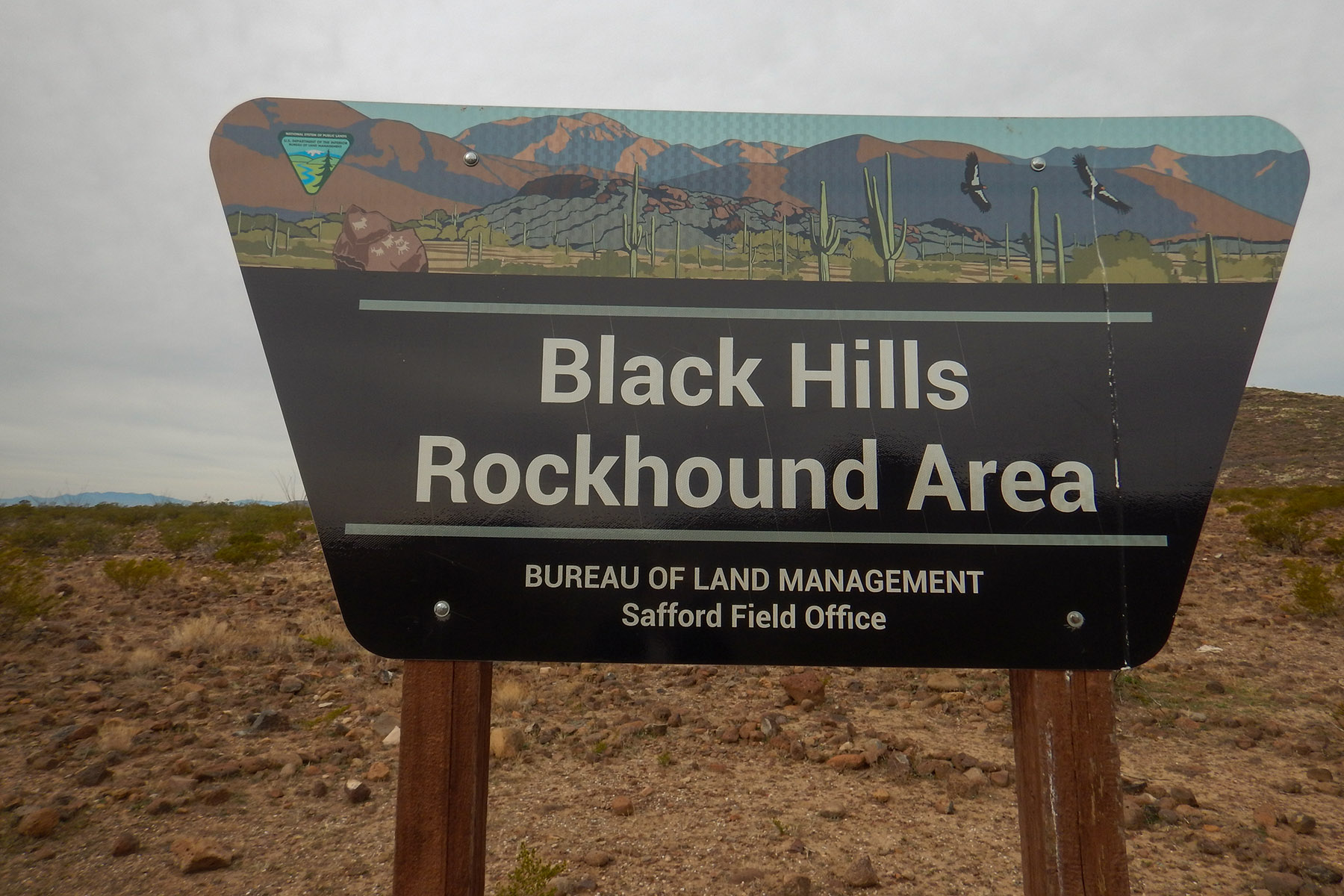 Black Hills Rockhound