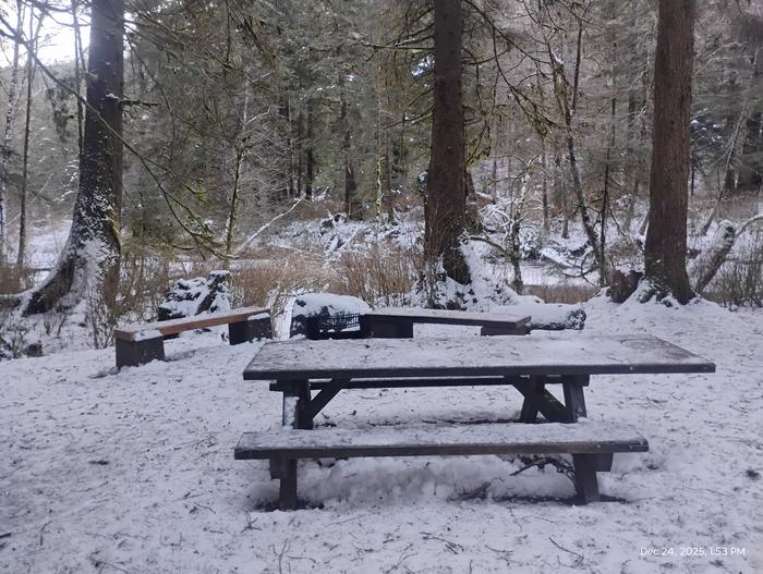 Starrigavan Creek Cabin — Picnic area