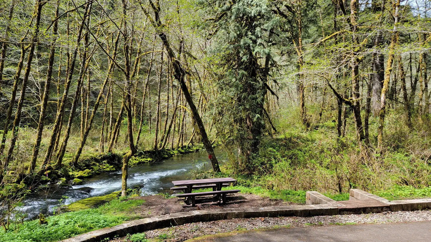 Fan Creek Rec. Site — view of river at campsite 2 in Fan Creek Campground
