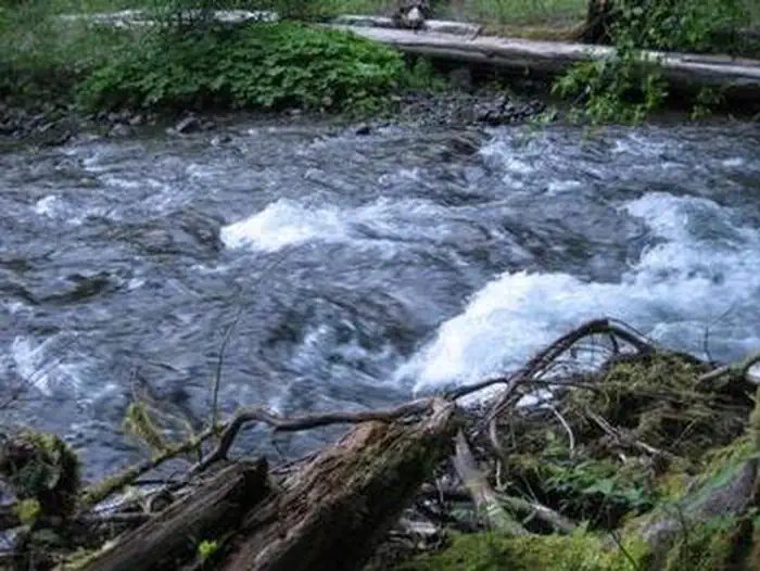 Beaver Campground — Beaver Campground