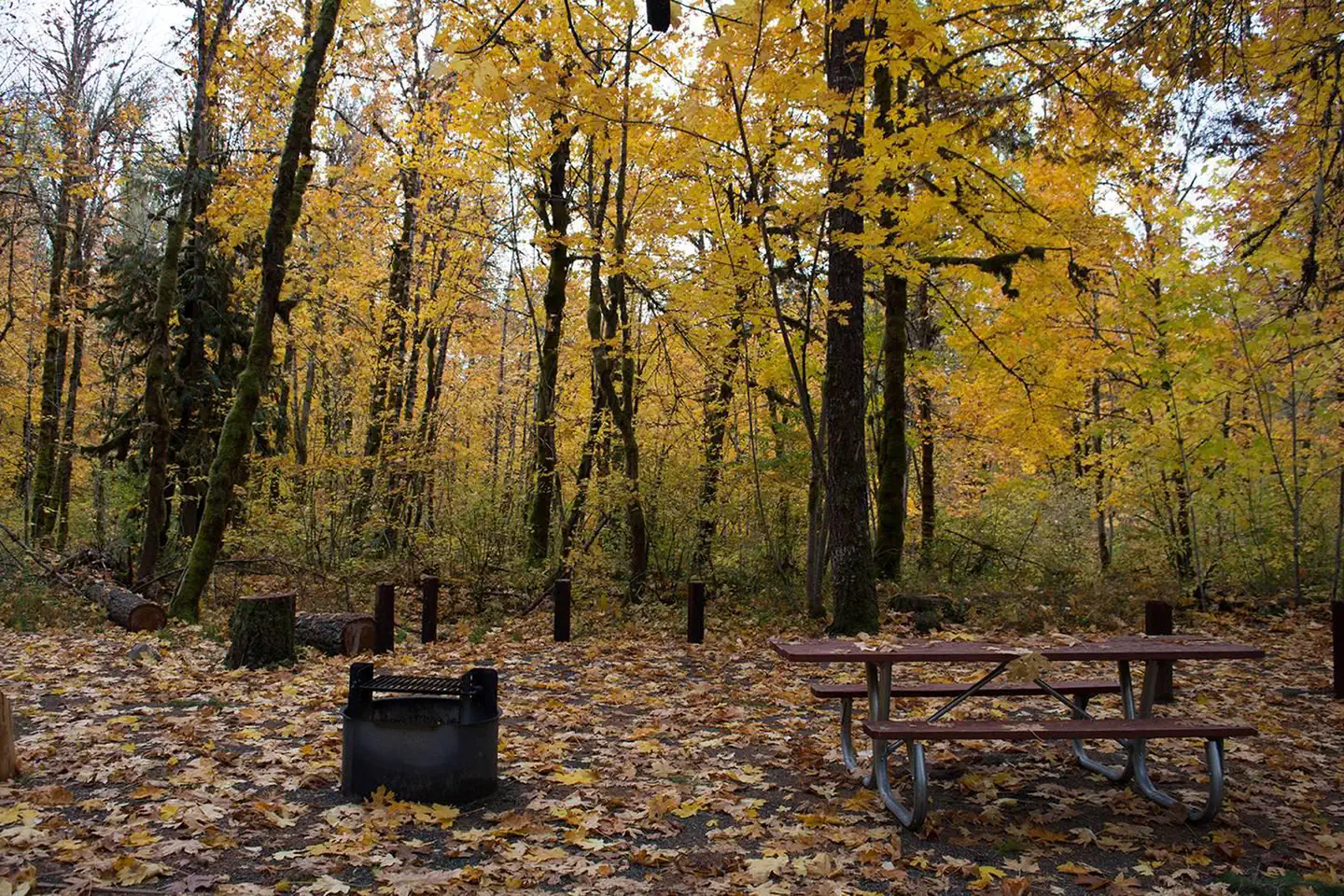 Beaver Campground — Beaver Campground