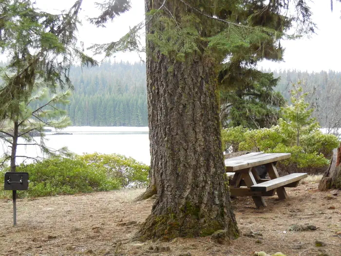 Fish Lake Campground - Rogue River — Day Use Area