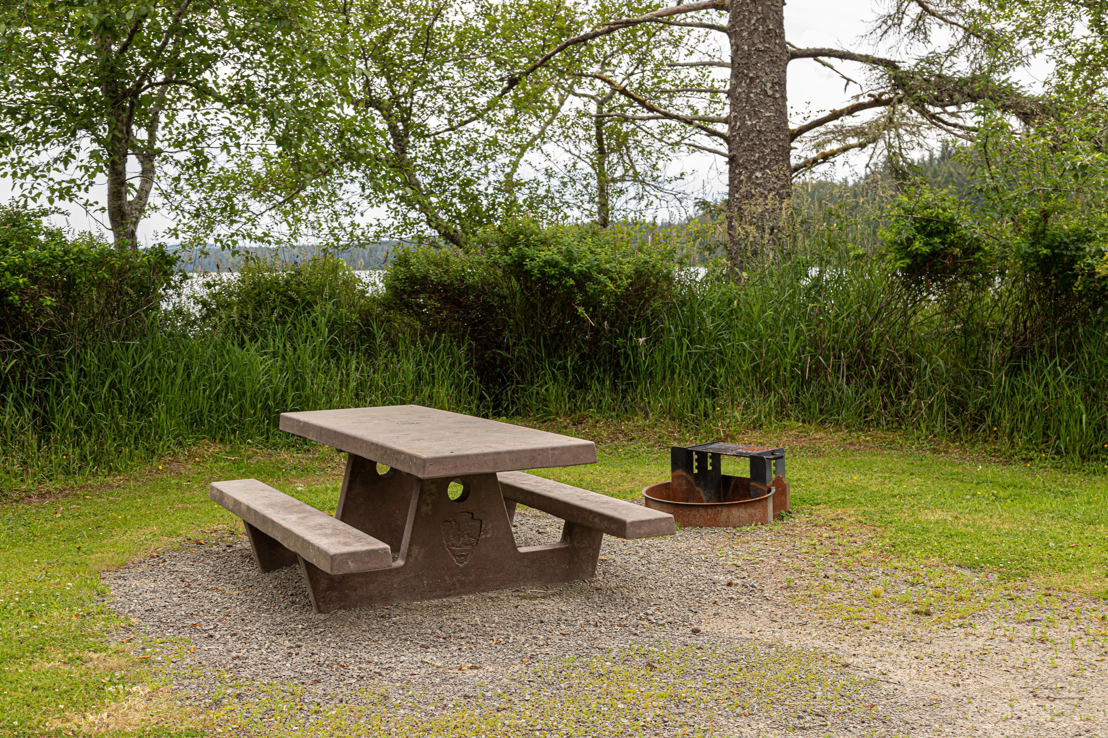 Ozette Campground