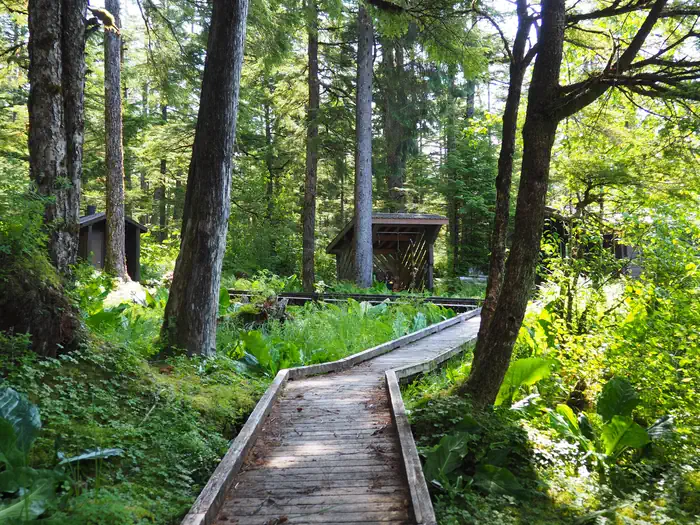 Virginia Lake Cabin — Virginia Lake Cabin walkway to outhouse and woodshed