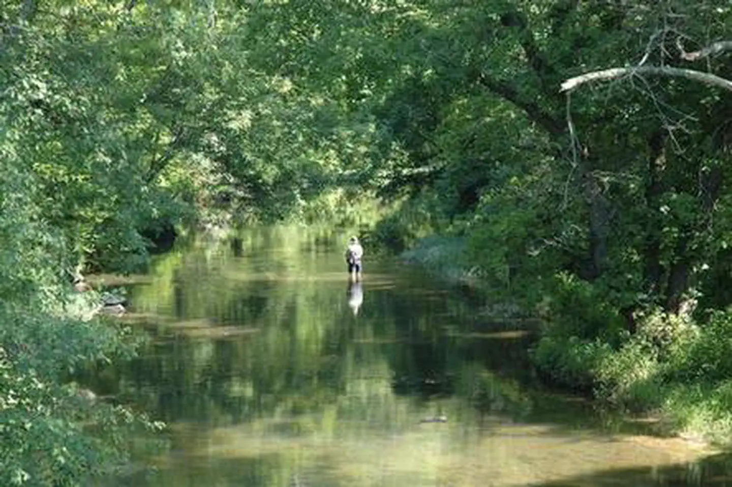 Elizabeth Furnace Family Campground — ELIZABETH FURNACE GROUP CAMP