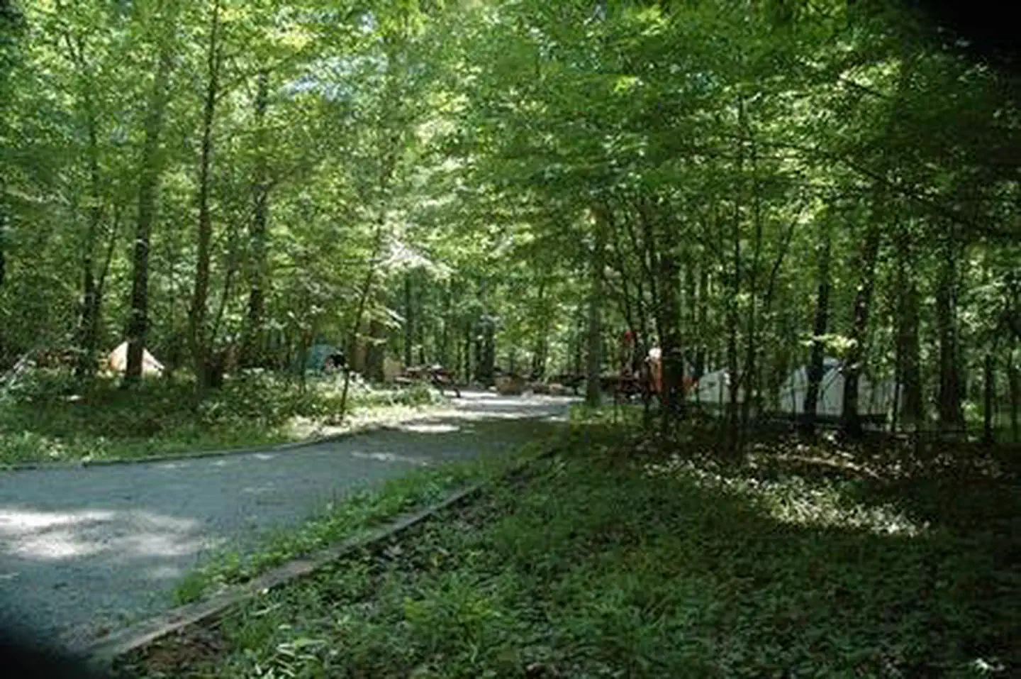 Elizabeth Furnace Family Campground — ELIZABETH FURNACE GROUP CAMP