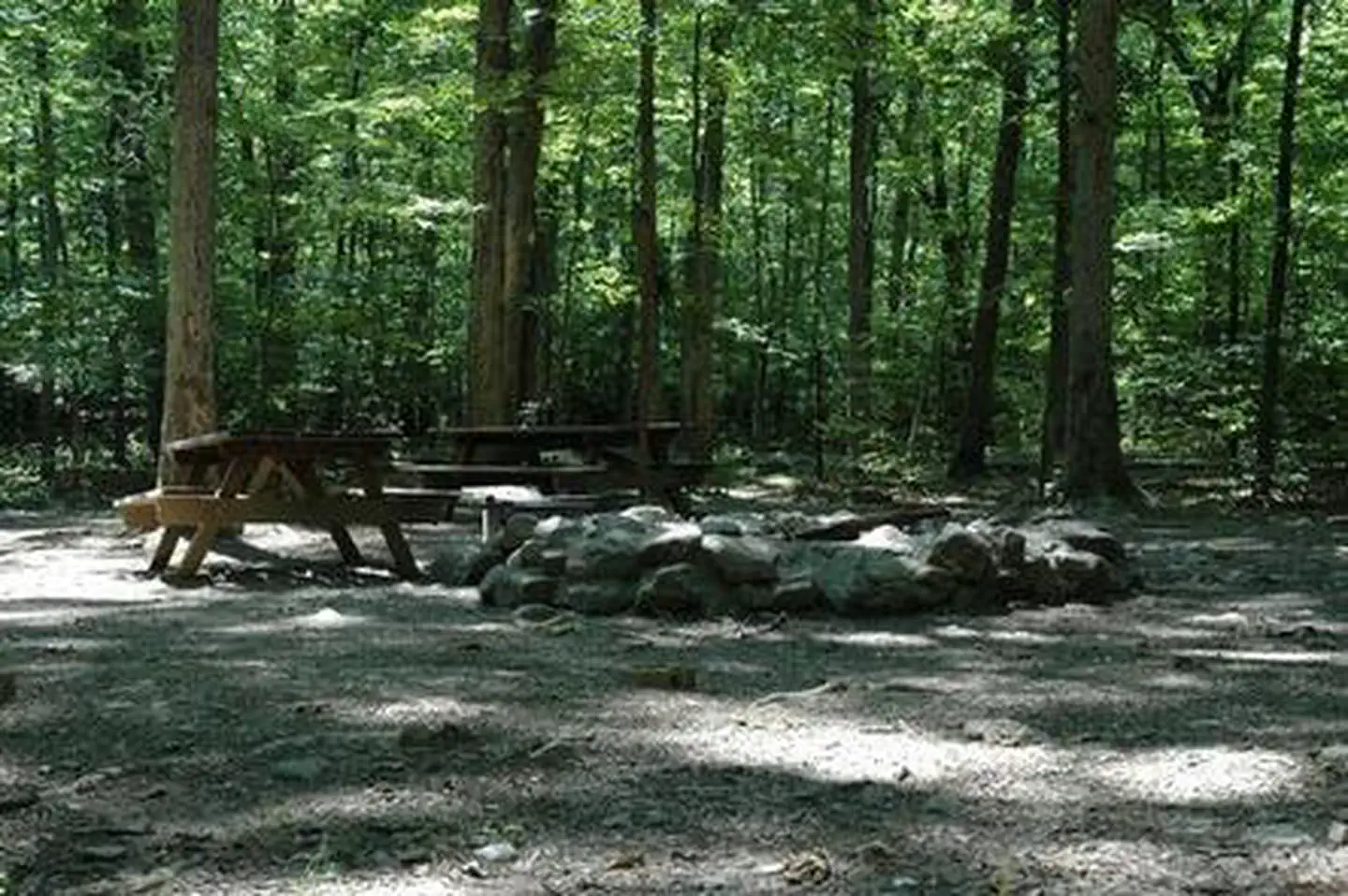 Elizabeth Furnace Family Campground — ELIZABETH FURNACE GROUP CAMP