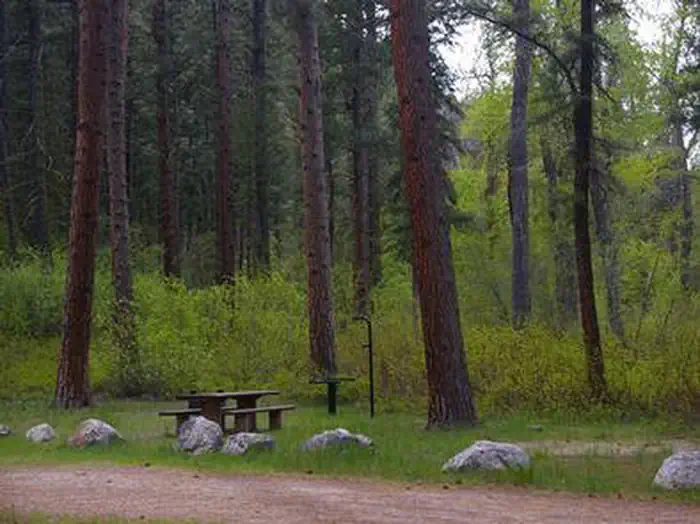Dog Creek Campground - Idaho — DOG CREEK (ID)