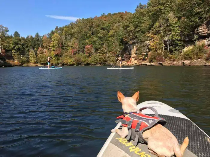 Grayson Lake Damsite Shelters — Paddle boarding at Grayson Lake