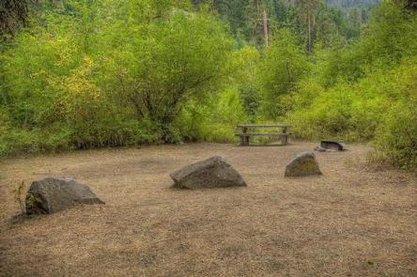 Cottonwood Campground (wa) — COTTONWOOD CAMPGROUND (WA)