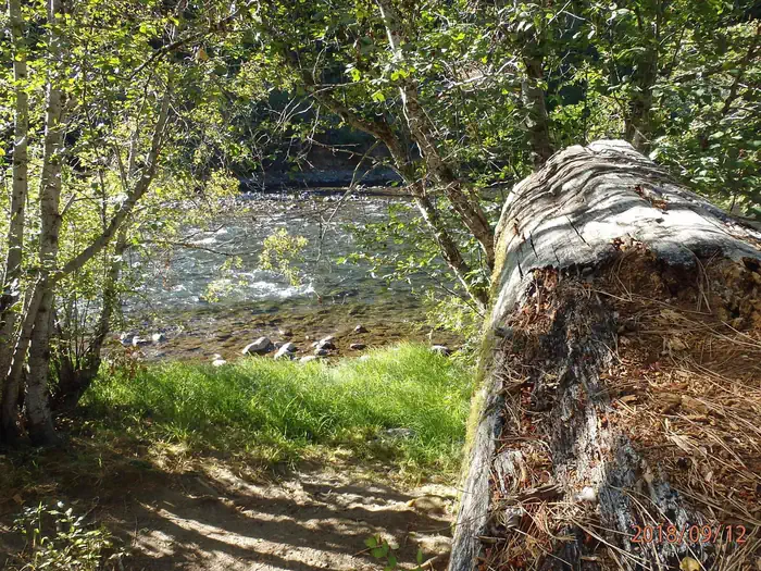Cottonwood Campground (wa) — Cottonwood Campground
