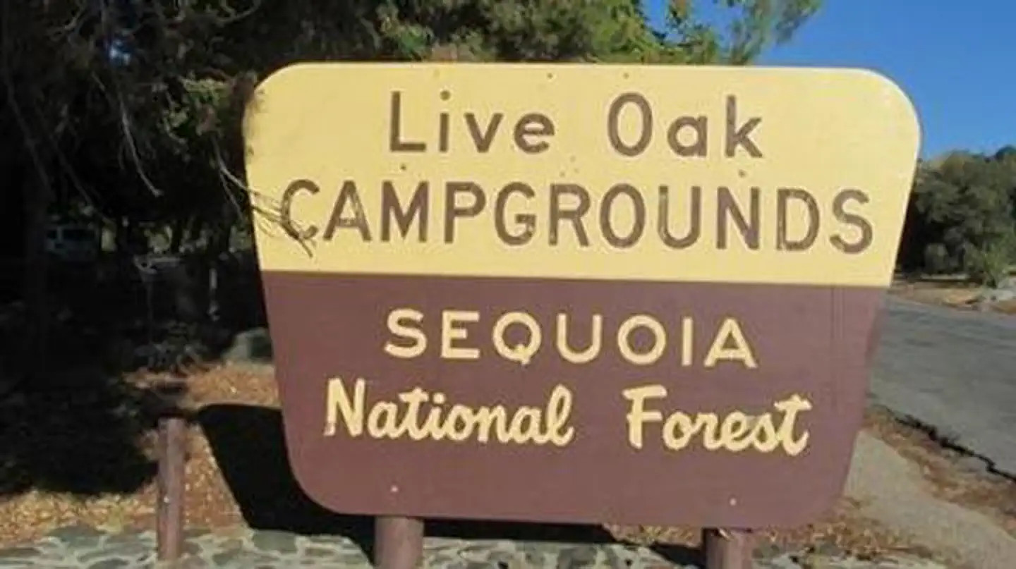 Live Oak South