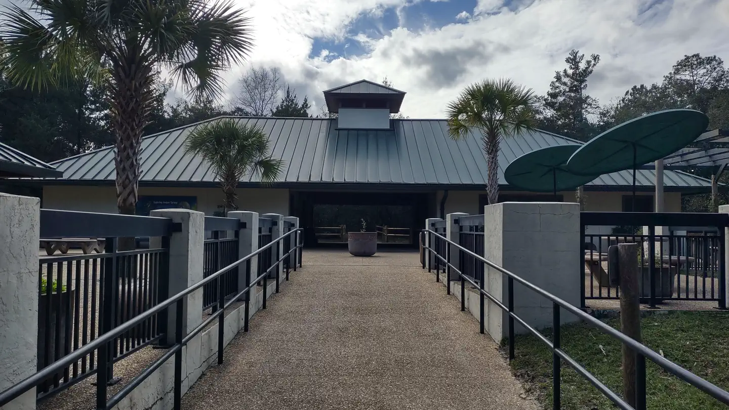 Juniper Springs Rec Area - Sandpine