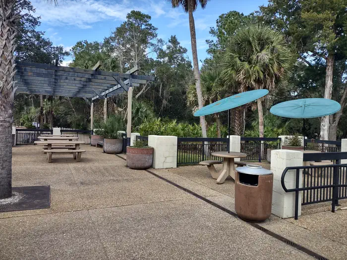 Juniper Springs Rec Area - Sandpine — Picnic area