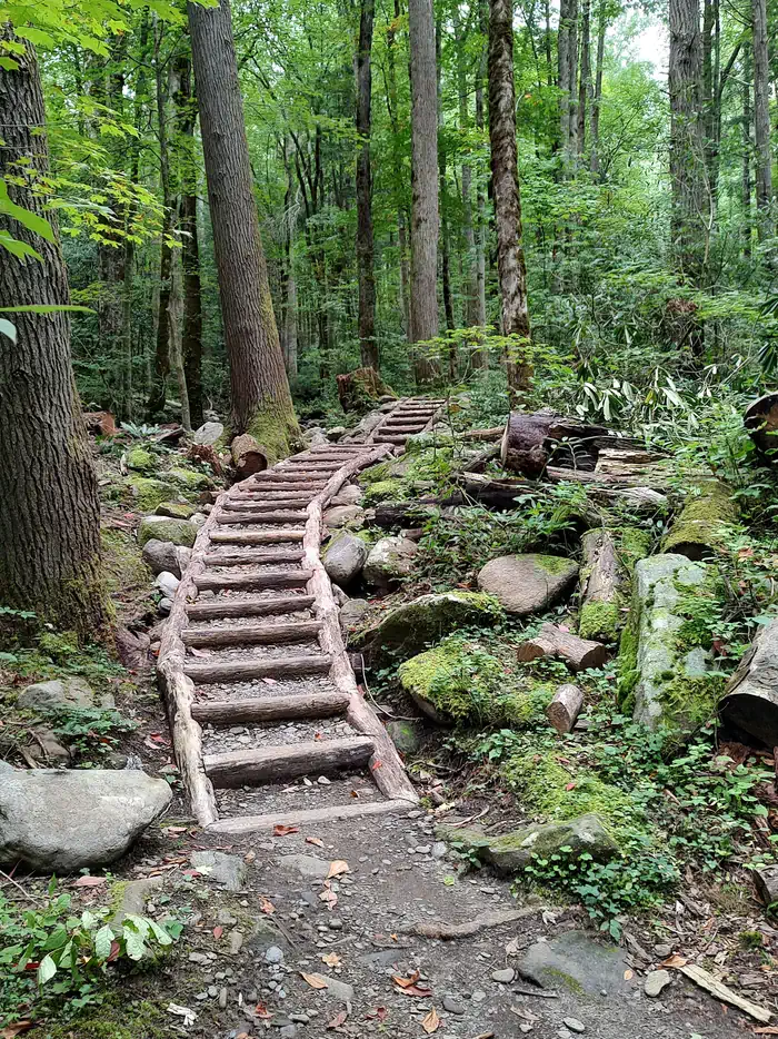 Cosby Group Camp — Nature trail