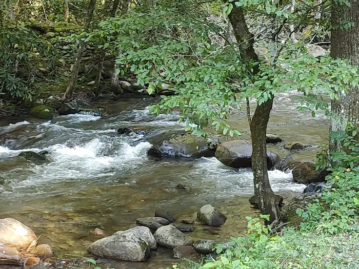 Cosby Group Camp — Cosby Creek