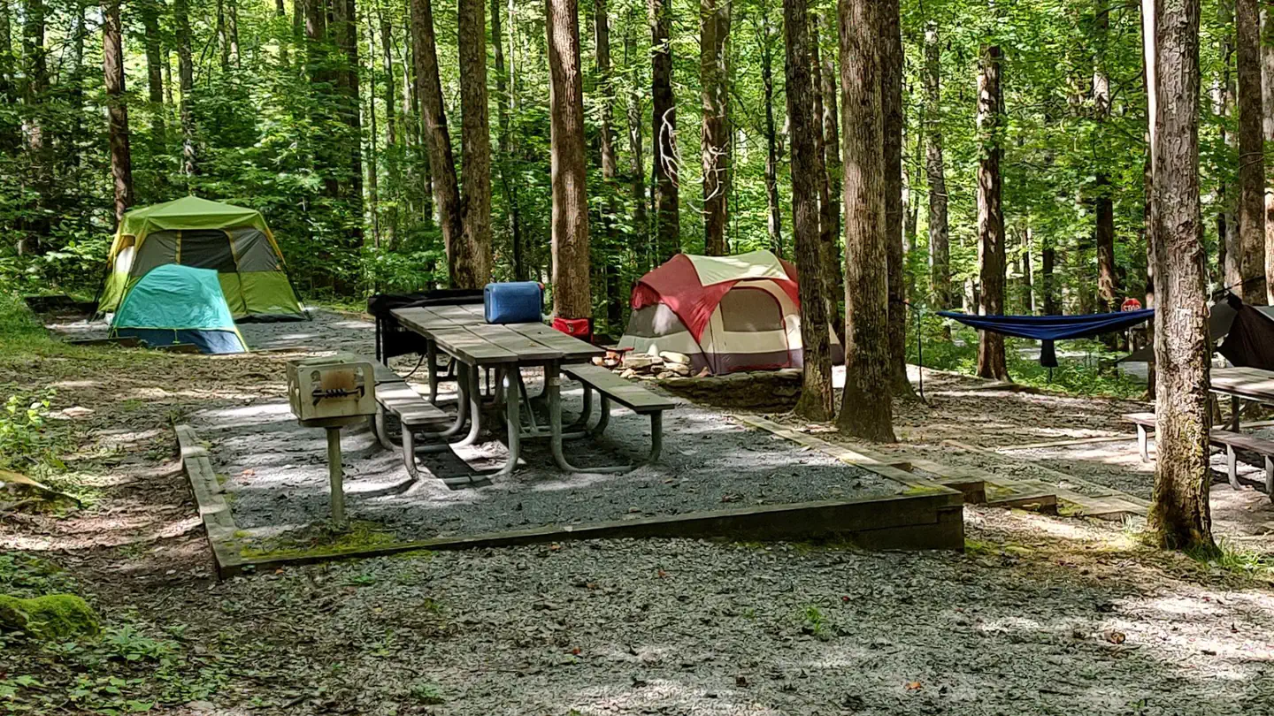 Cosby Group Camp