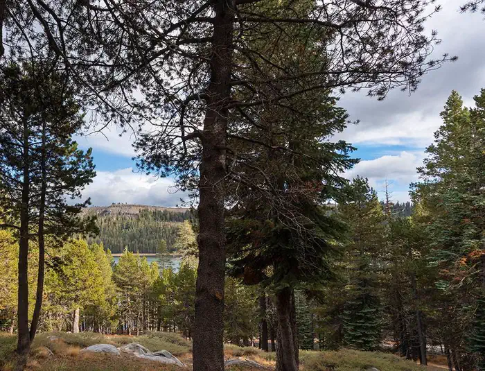(lake Alpine) Silver Tip Campground — Distant view of Lake Alpine