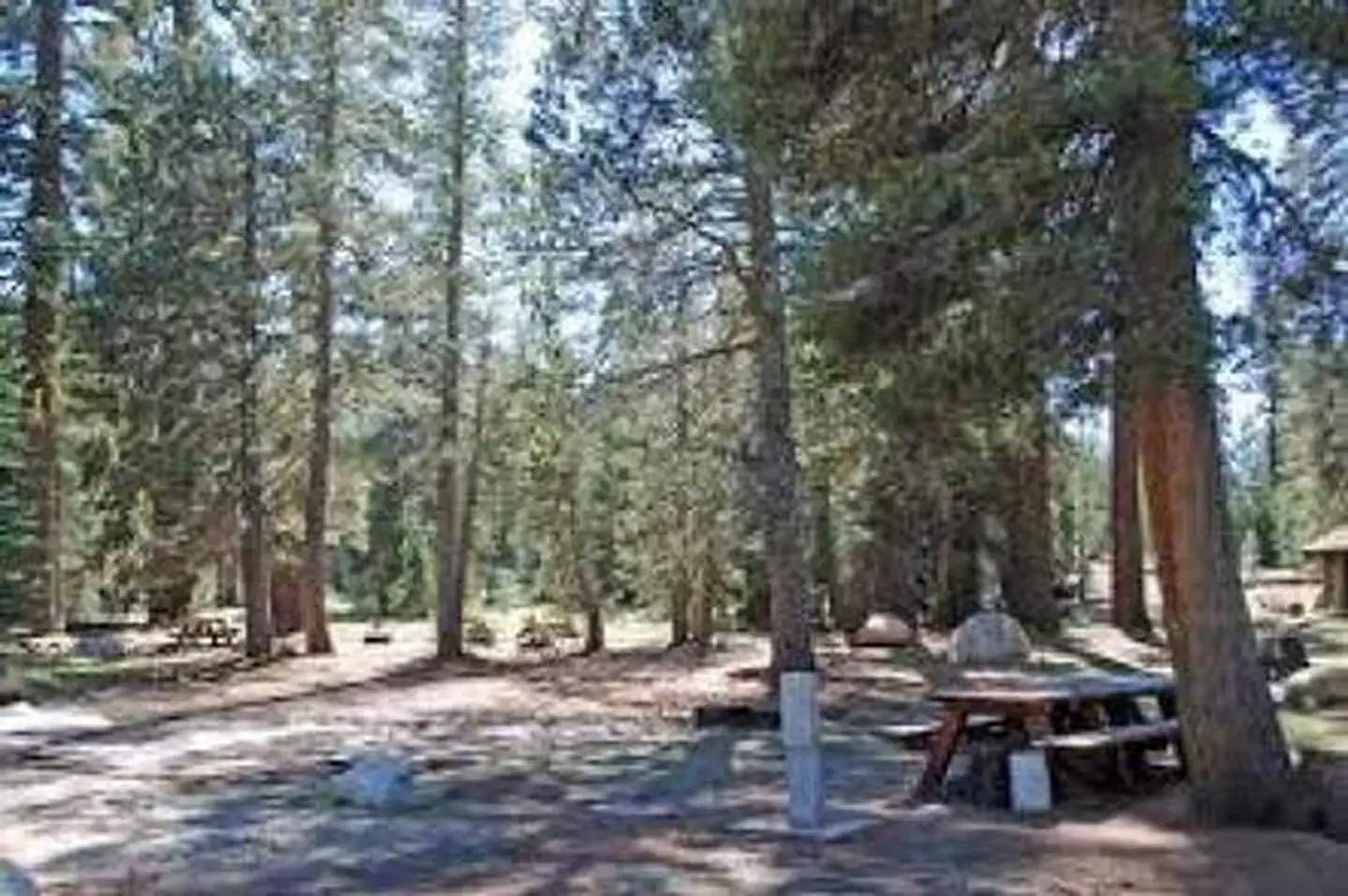 (lake Alpine) Silver Tip Campground — (LAKE ALPINE) SILVER TIP CAMPGROUND
