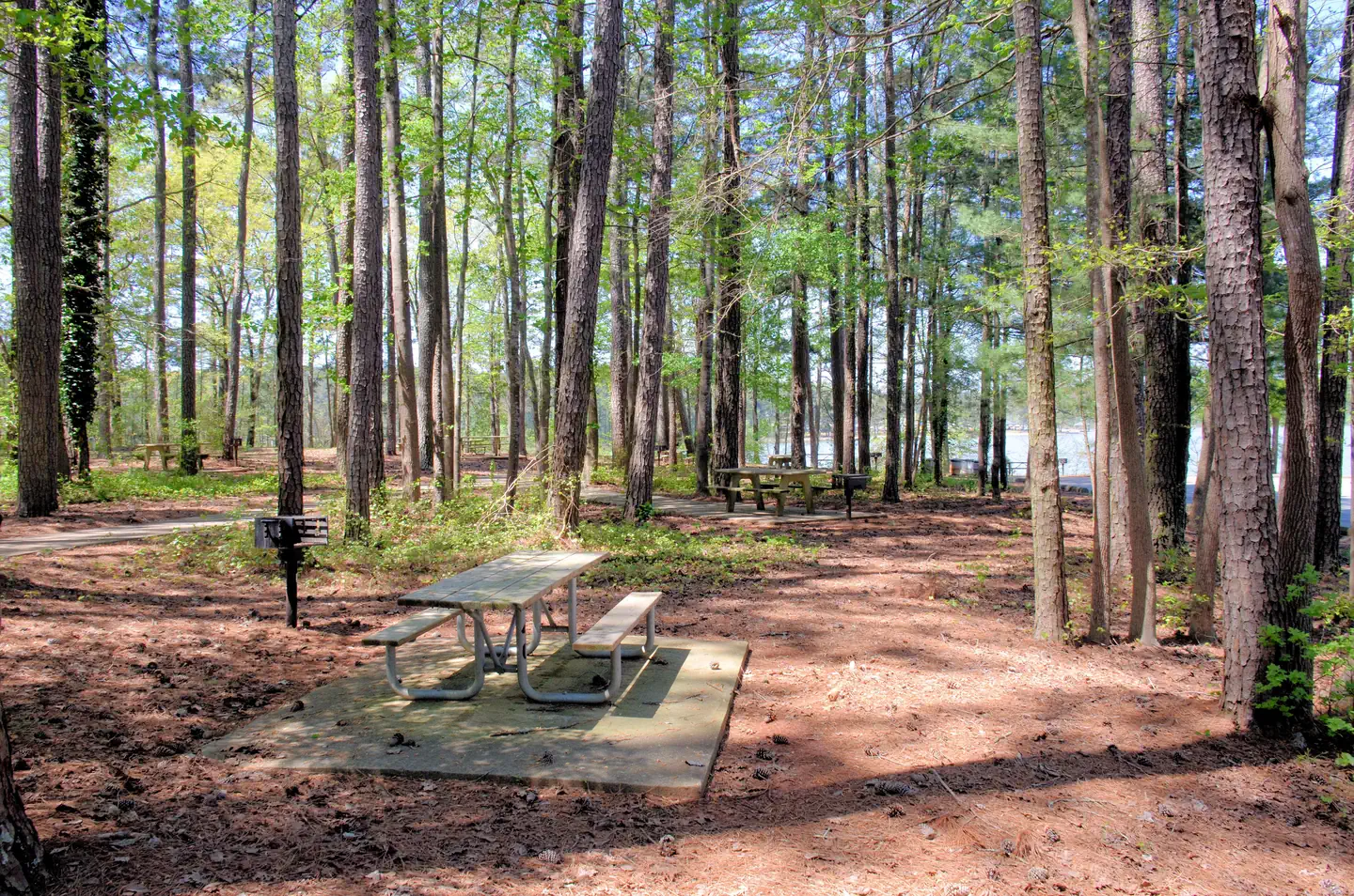 Galts Ferry Day Use Area (Ga) — Galt's Ferry Picnic Area Near Bathroom.