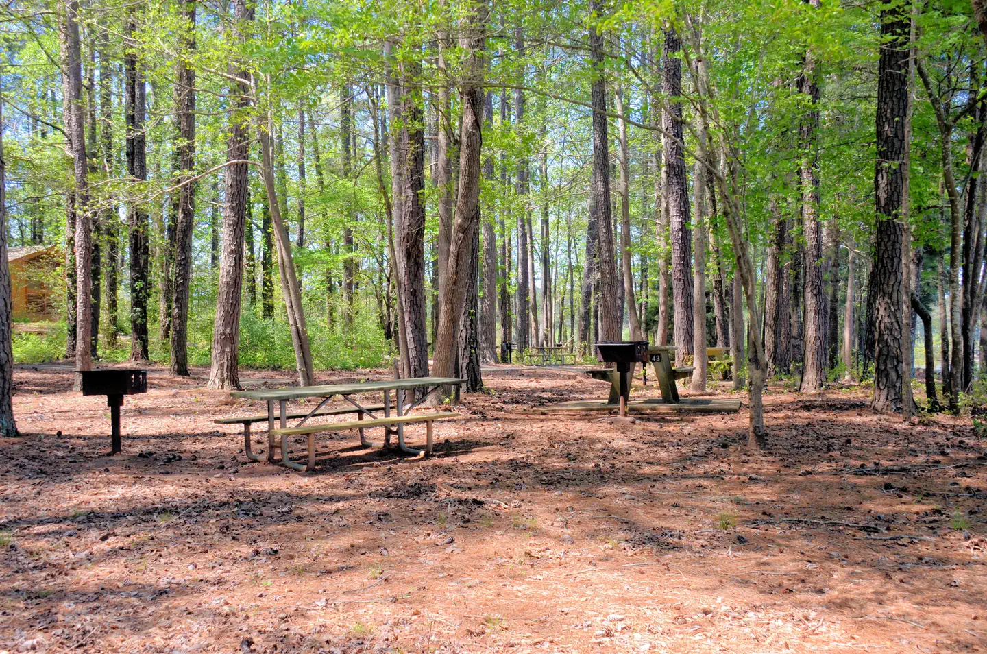 Galts Ferry Day Use Area (Ga) — Galt's Ferry Picnic Area Near Bathroom
