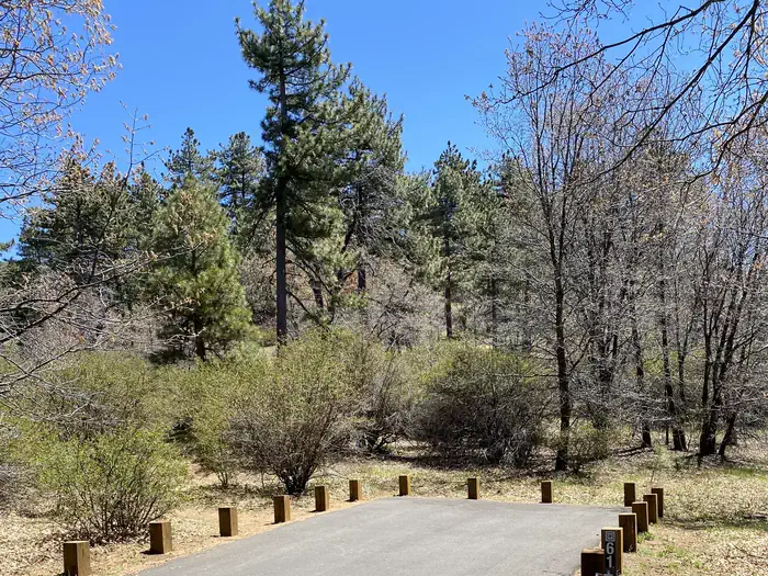 Laguna Campground — Laguna Campground Campsite