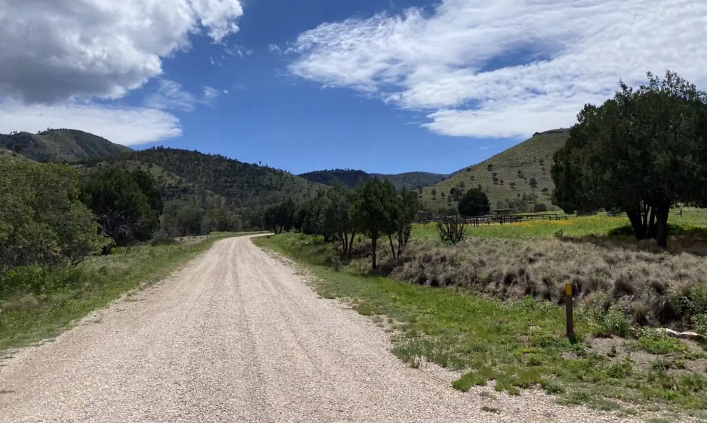 Dog Canyon Campground — Gravel road accessing Guadalupe Mountains National Park in the Dog Canyon area. Green grass, trees and mountains surround the road. 