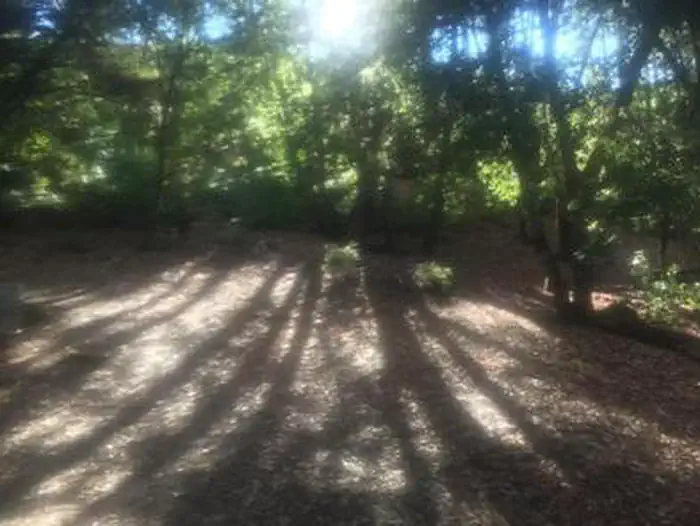 China Camp Campground — CHINA CAMP CAMPGROUND