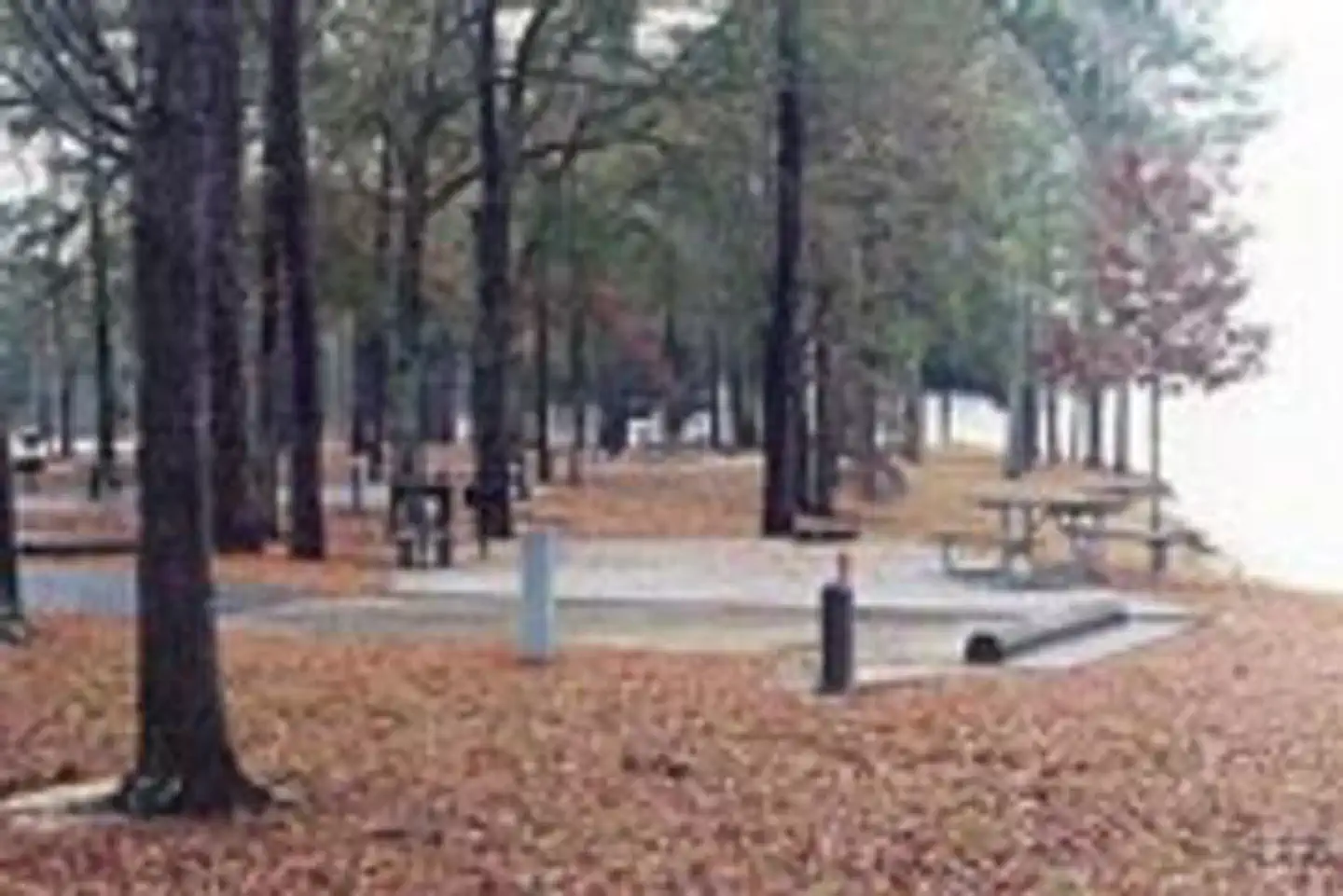 White Oak (creek) Campground — WHITE OAK (CREEK) CAMPGROUND