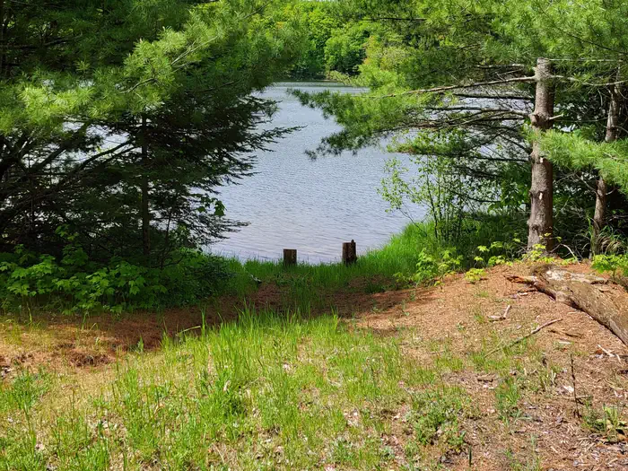 Lake Nineteen Dispersed Campsite — Lake Nineteen Boat Access point