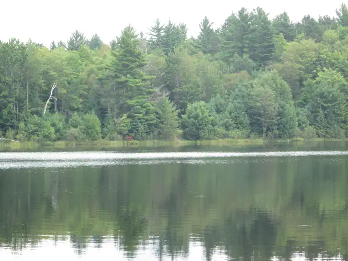 Lake Nineteen Dispersed Campsite — LAKE NINETEEN CAMPSITE
