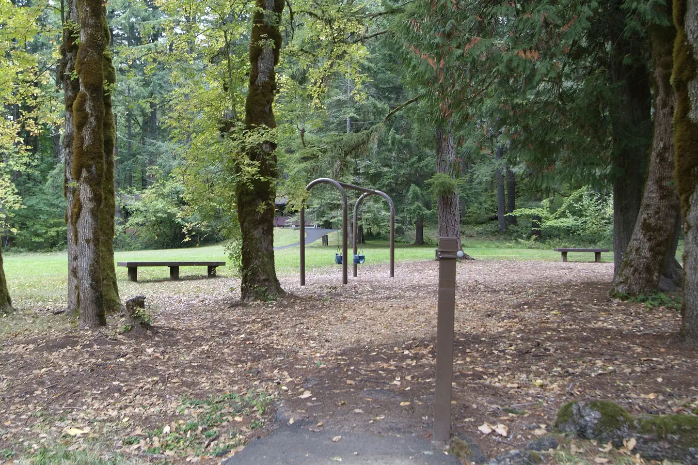 Shotgun Creek Recreation Site — Swings.
