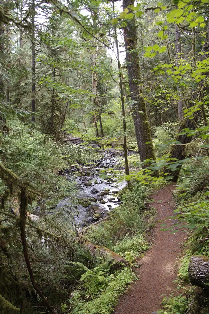 Shotgun Creek Recreation Site — Shotgun Creek trail.
