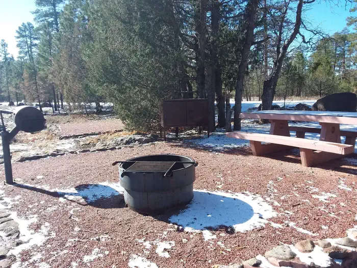 Rock Crossing Campground — Rock Crossing Campground Site 29: shows site with a table, fire pit, standing grill, and waste canister