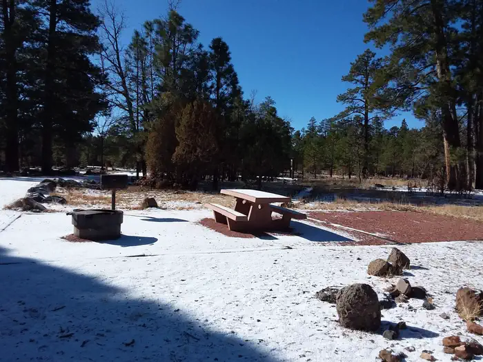 Rock Crossing Campground — Rock Crossing Campground Site 04: shows tent pad near table, fire pit, and standing grill