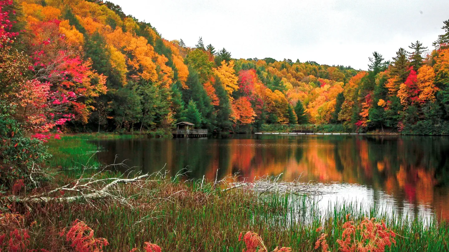 Beartree Recreation Area