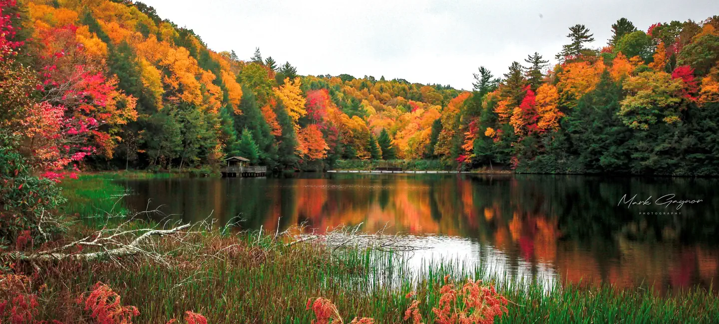 Beartree Recreation Area — Beartree Lake 10.18.2023