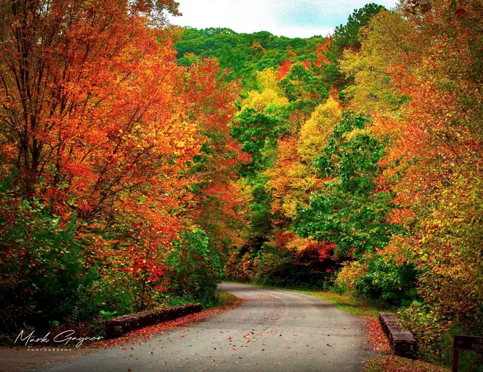 Beartree Recreation Area — Drive to the Beach