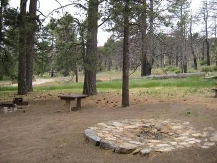 El Prado Campground — EL PRADO GROUP