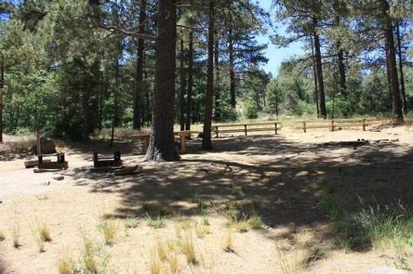 El Prado Campground — EL PRADO GROUP