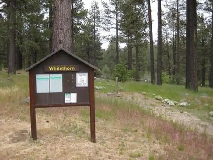 El Prado Campground — EL PRADO GROUP