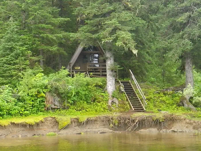Mount Rynda Cabin — Mount Rynda Cabin with surrounding scenery of trees and 3 foot mudbank with stairs leading to cabin