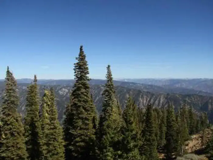 Deadwood Lookout Rec Cabin β DEADWOOD LOOKOUT REC CABIN views
