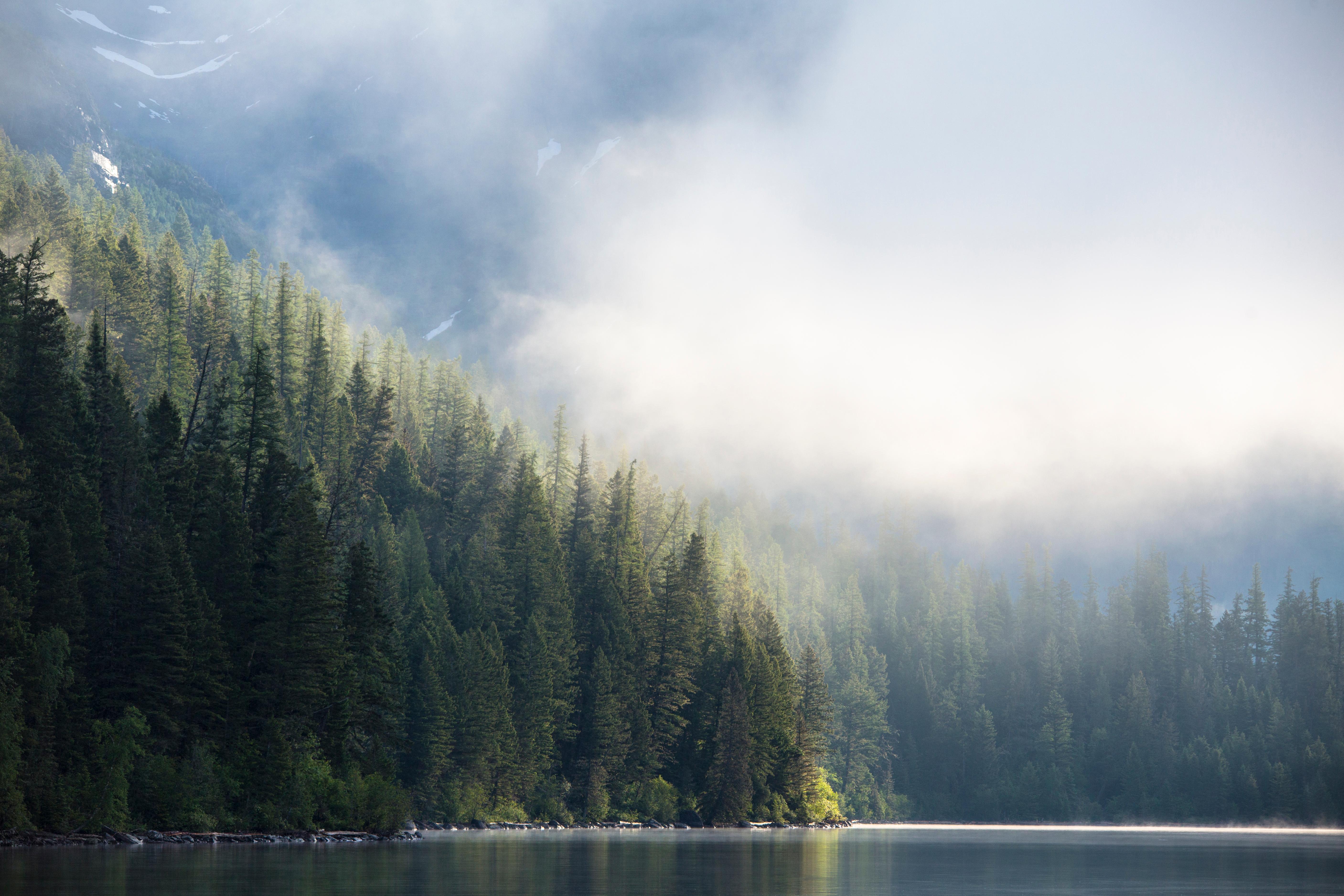 Quartz Creek Campground
