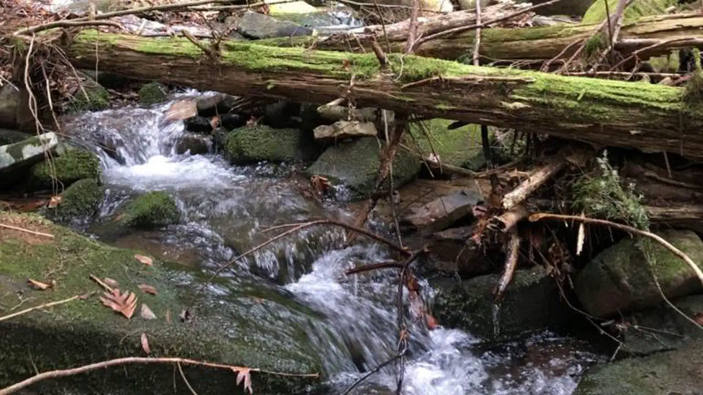 Minister Creek Campground